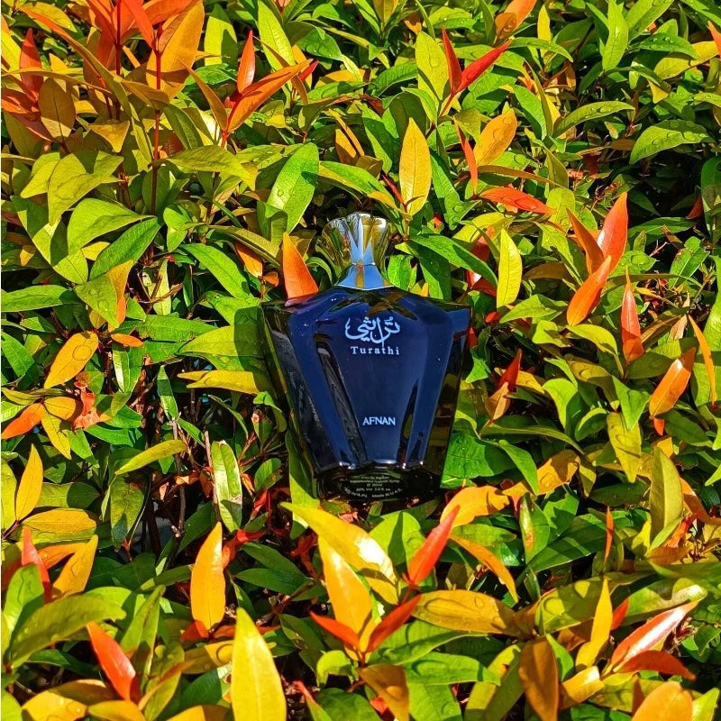 100ML Eau De Parfum for Men Fresh Woody Amber Fragrance