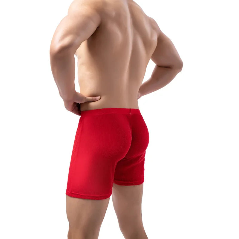 Men's Mesh Boxer Shorts Breathable Nylon Underwear