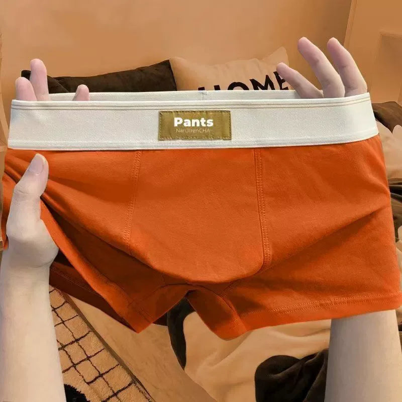 Men's Cotton Boxer Shorts 4 Pack Large Size L-7XL