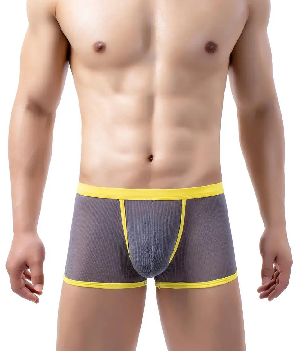 Men's Underwear Boxers Sexy Mesh Transparent Boxer Shorts Low Waist Breathable Panties Boxer for Man