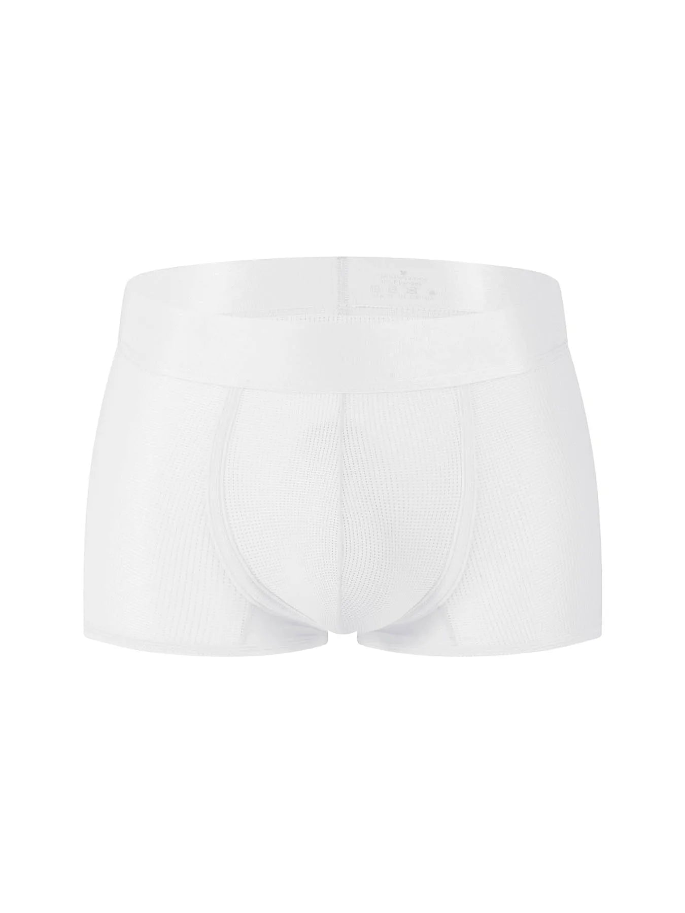Men's Boxer Trunks Mesh Underwear
