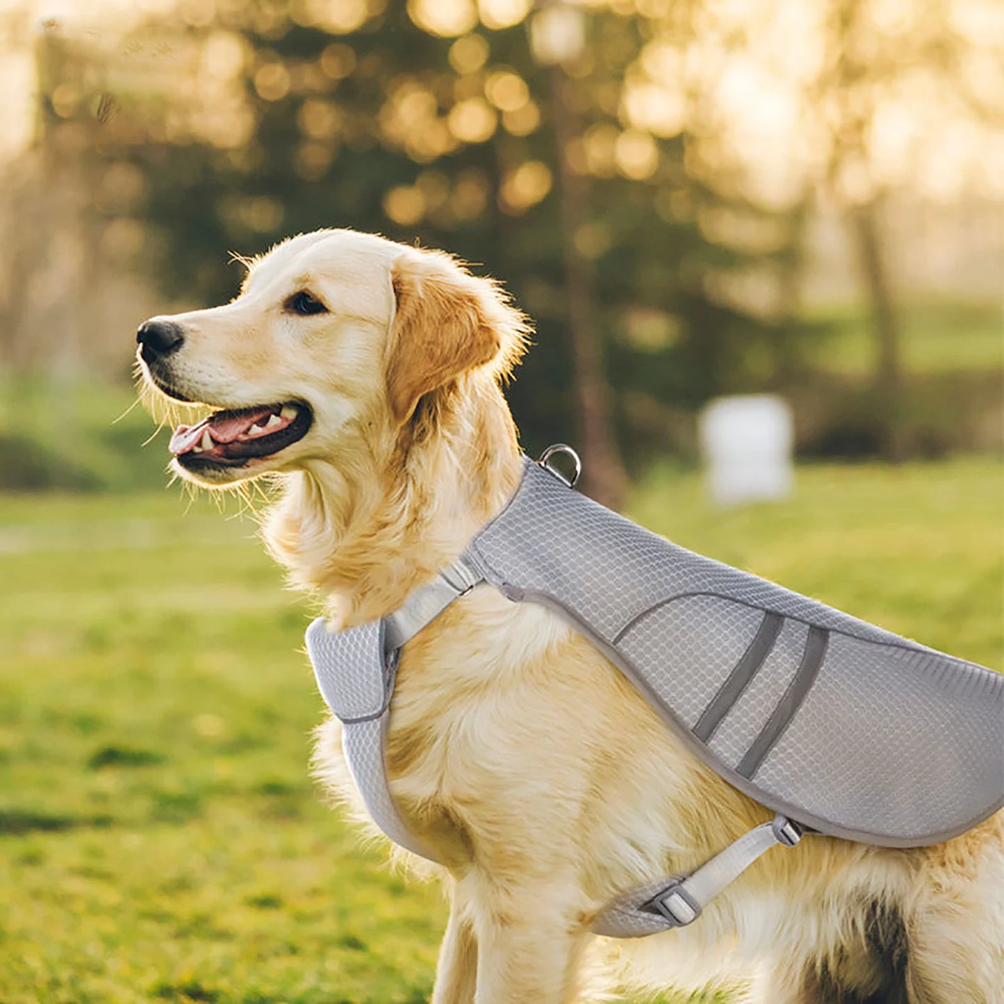 Dog Cooling Vest Lightweight Jacket for All Seasons