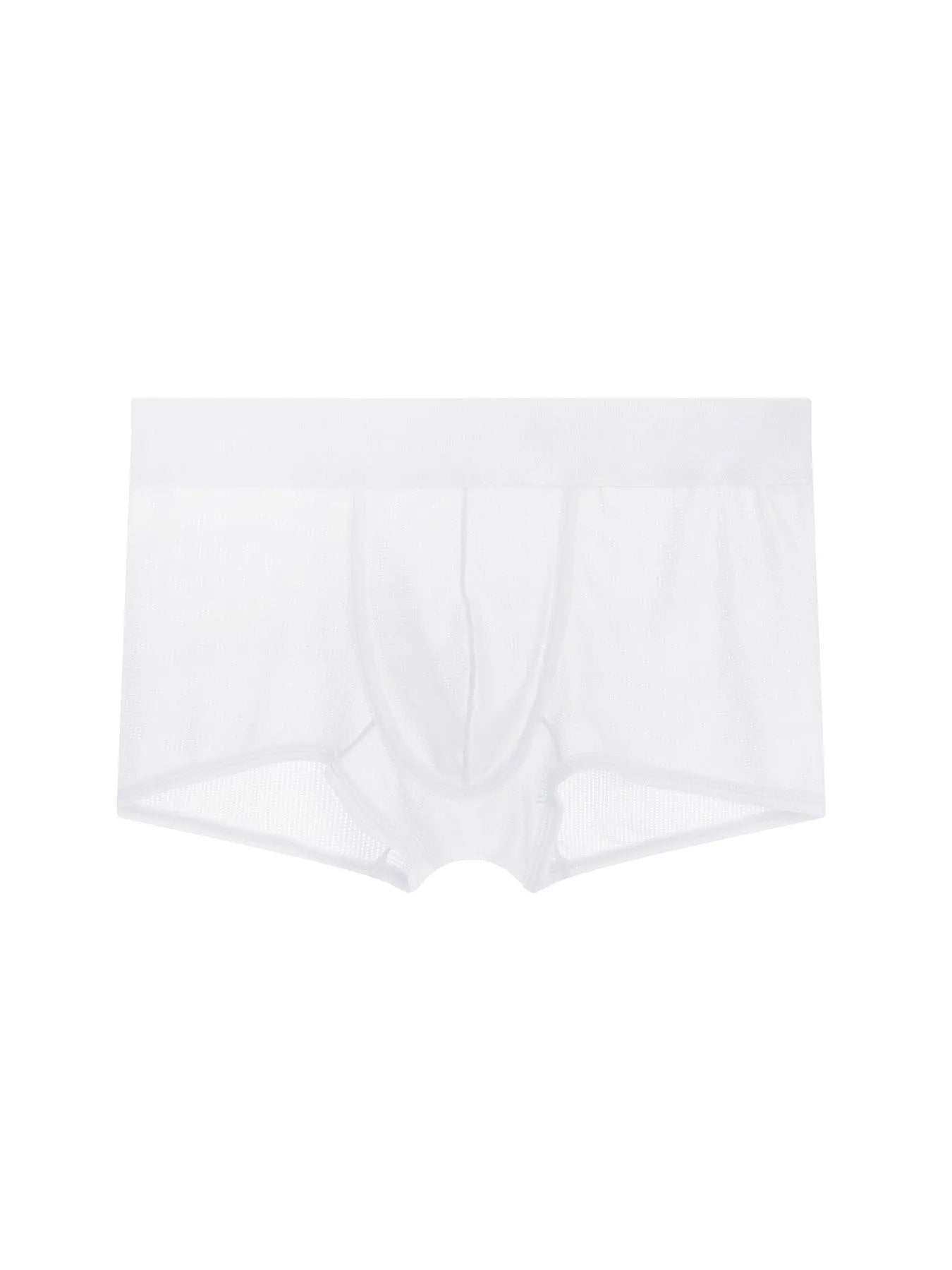 Men's Boxer Trunks Mesh Underwear