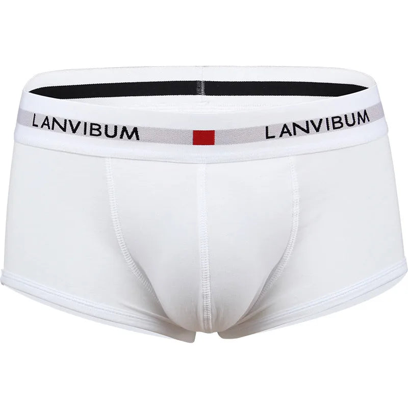 Men's Cotton Boxer Shorts with Convex Pouch in Solid Colors