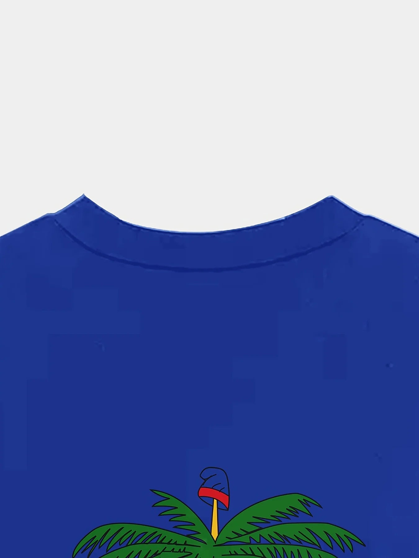 Men's Casual T-Shirt with Haitian Flag Print