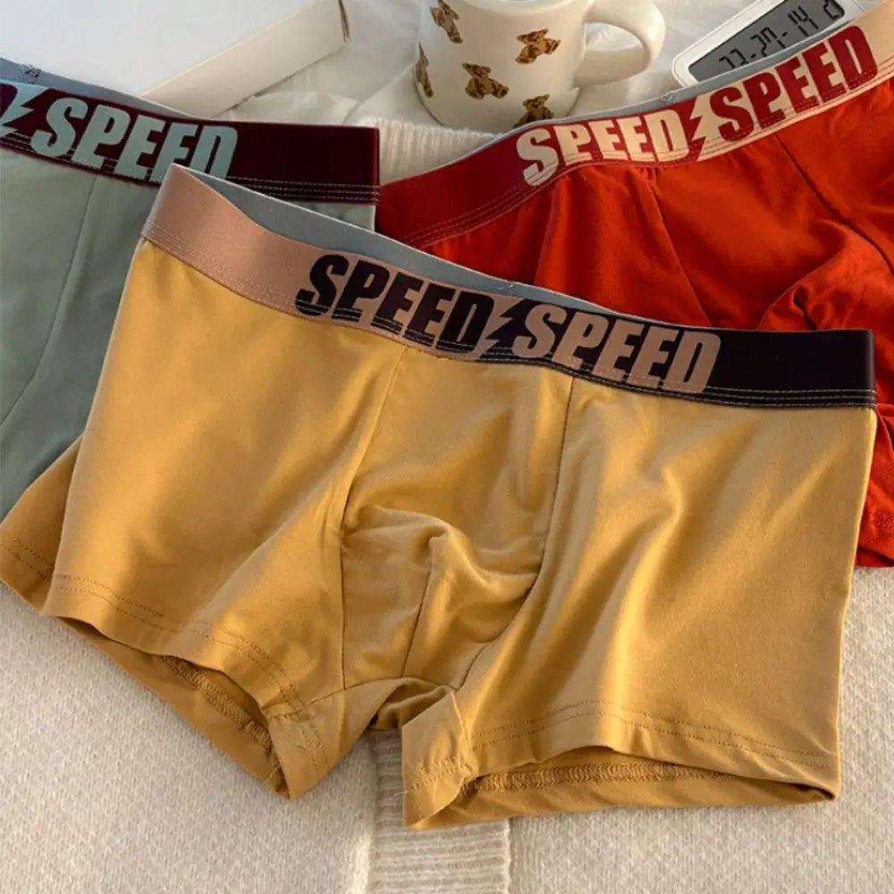 Plus Size Men's Boxer Briefs 3PCS Cotton