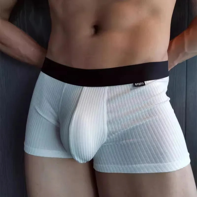 Men's Modal Boxer Shorts by GTOPX MAN