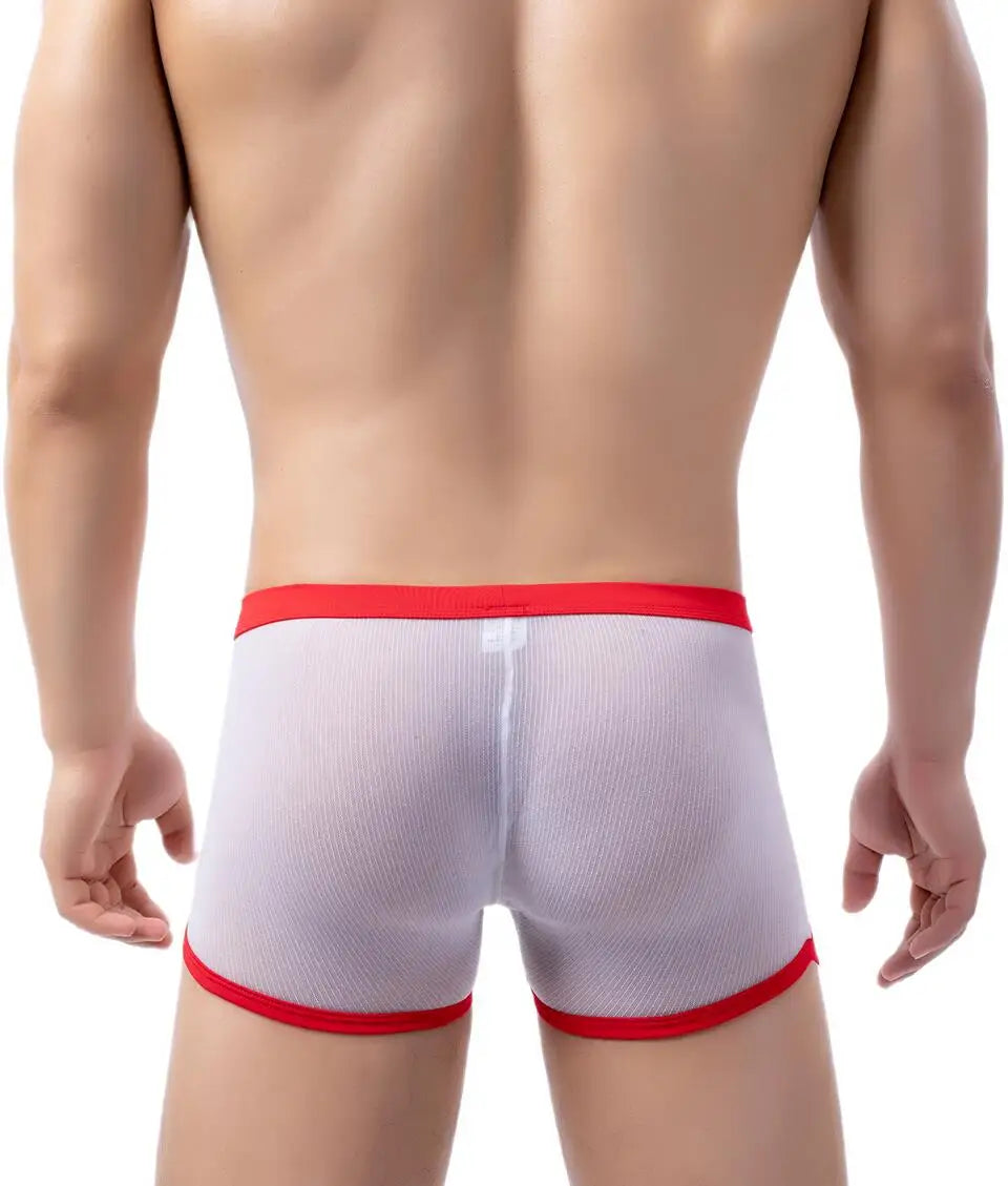 Men's Underwear Boxers Sexy Mesh Transparent Boxer Shorts Low Waist Breathable Panties Boxer for Man