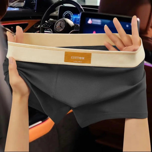 4 pcs Men Cotton Boxer Shorts Man Breathable Male Boxers Large Size L-7XL