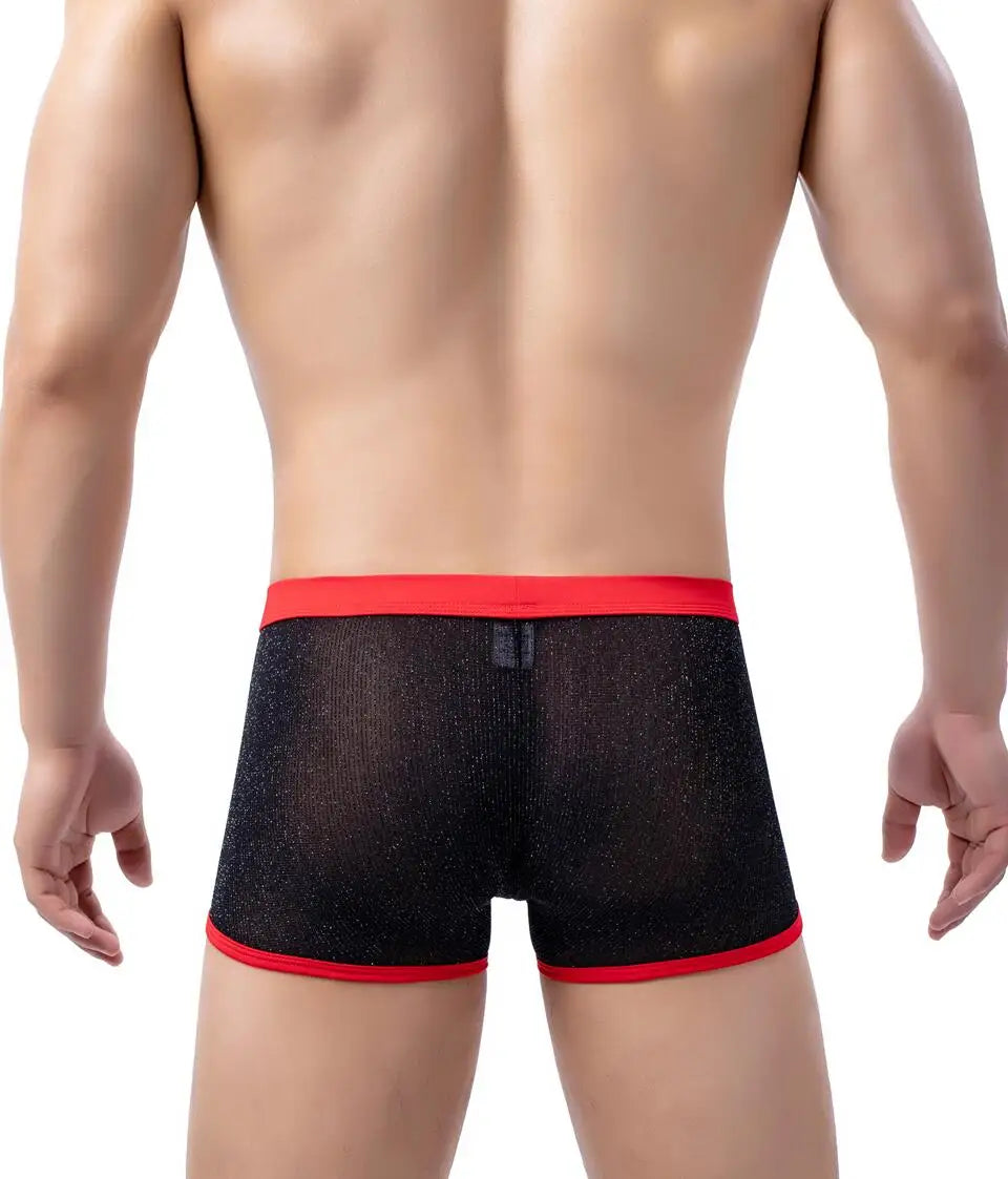 Men's Underwear Boxers Sexy Mesh Transparent Boxer Shorts Low Waist Breathable Panties Boxer for Man