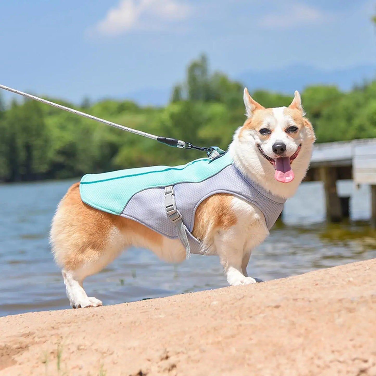 Summer Dog Cooling Vest Breathable Polyester for Outdoor Use