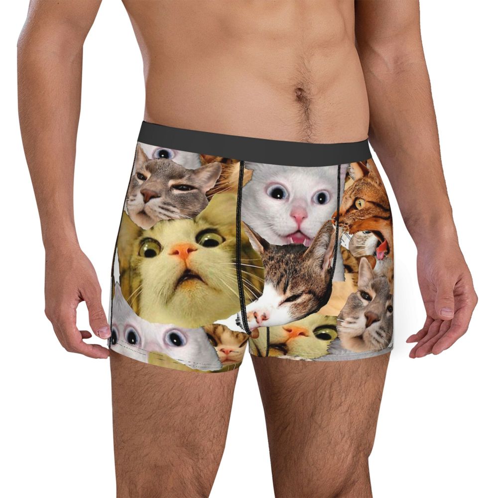 Meme Cat Boxer Shorts for Men