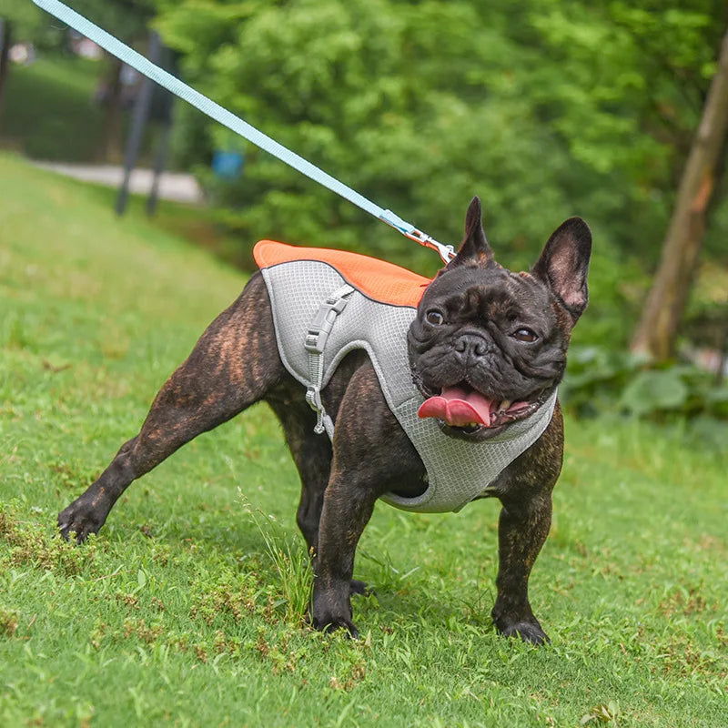 French Bulldog Cooling Vest for Small Medium Dogs Summer