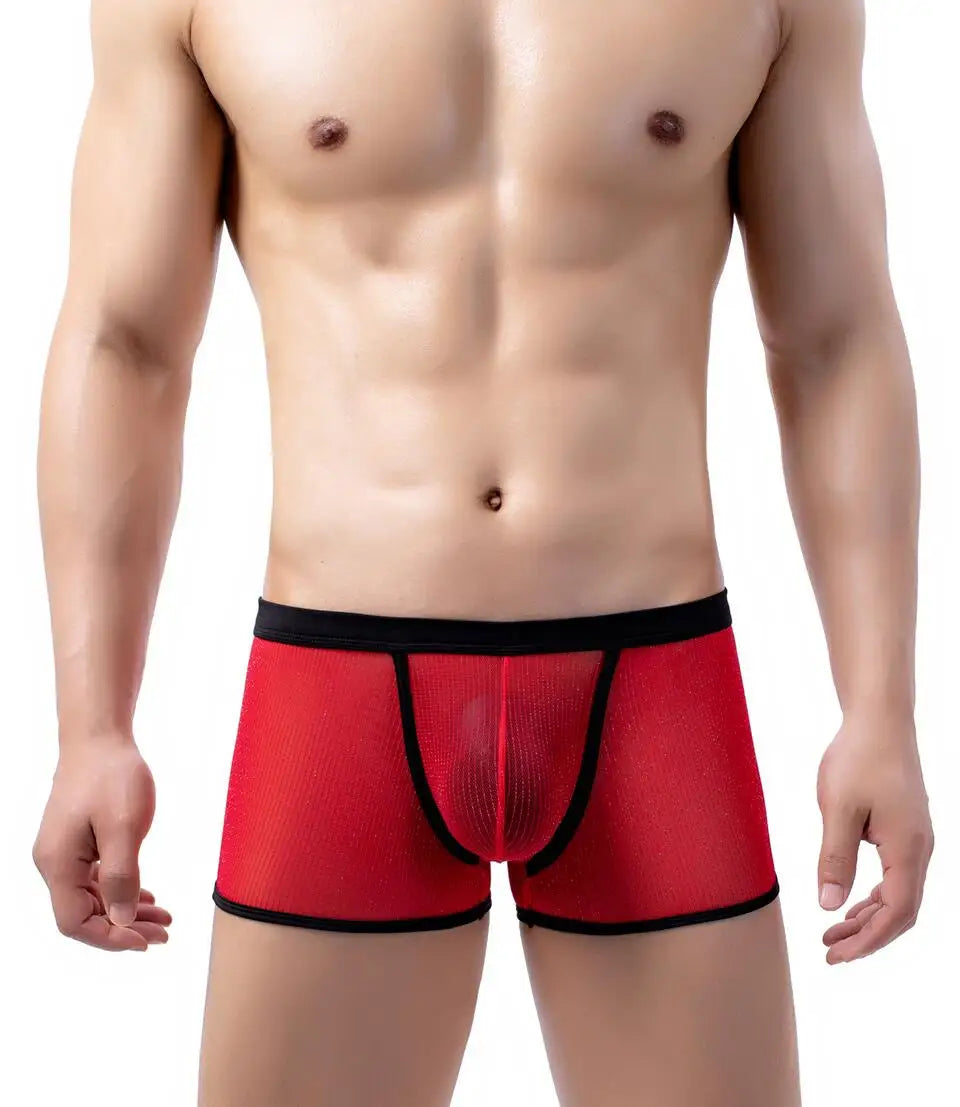 Men's Underwear Boxers Sexy Mesh Transparent Boxer Shorts Low Waist Breathable Panties Boxer for Man