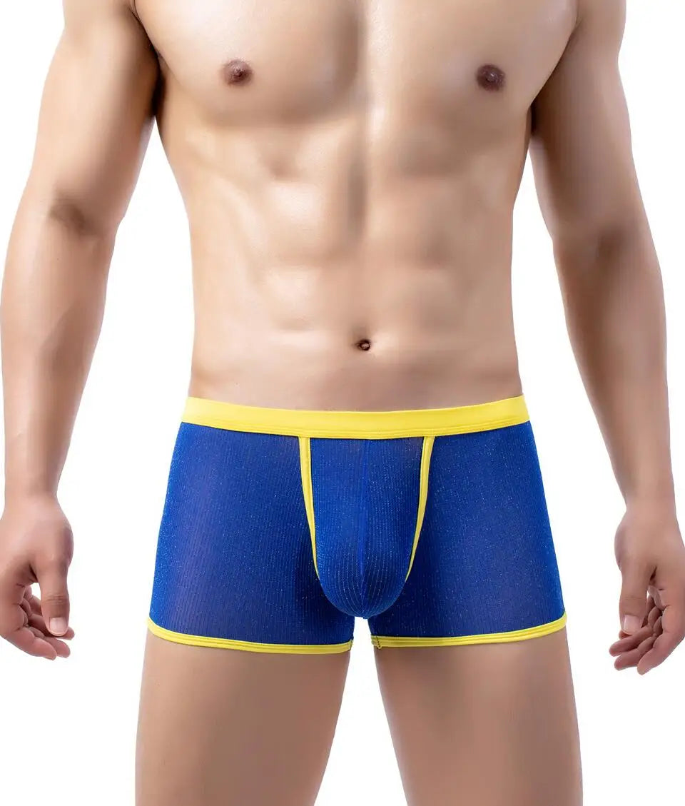 Men's Underwear Boxers Sexy Mesh Transparent Boxer Shorts Low Waist Breathable Panties Boxer for Man