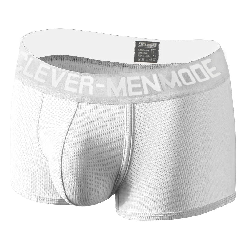 Mesh Boxers Sexy Bulge Penis Pouch Men Underwear Boxer Shorts Trunks Underpants Knicks Panties Cueca hombre Boxershort