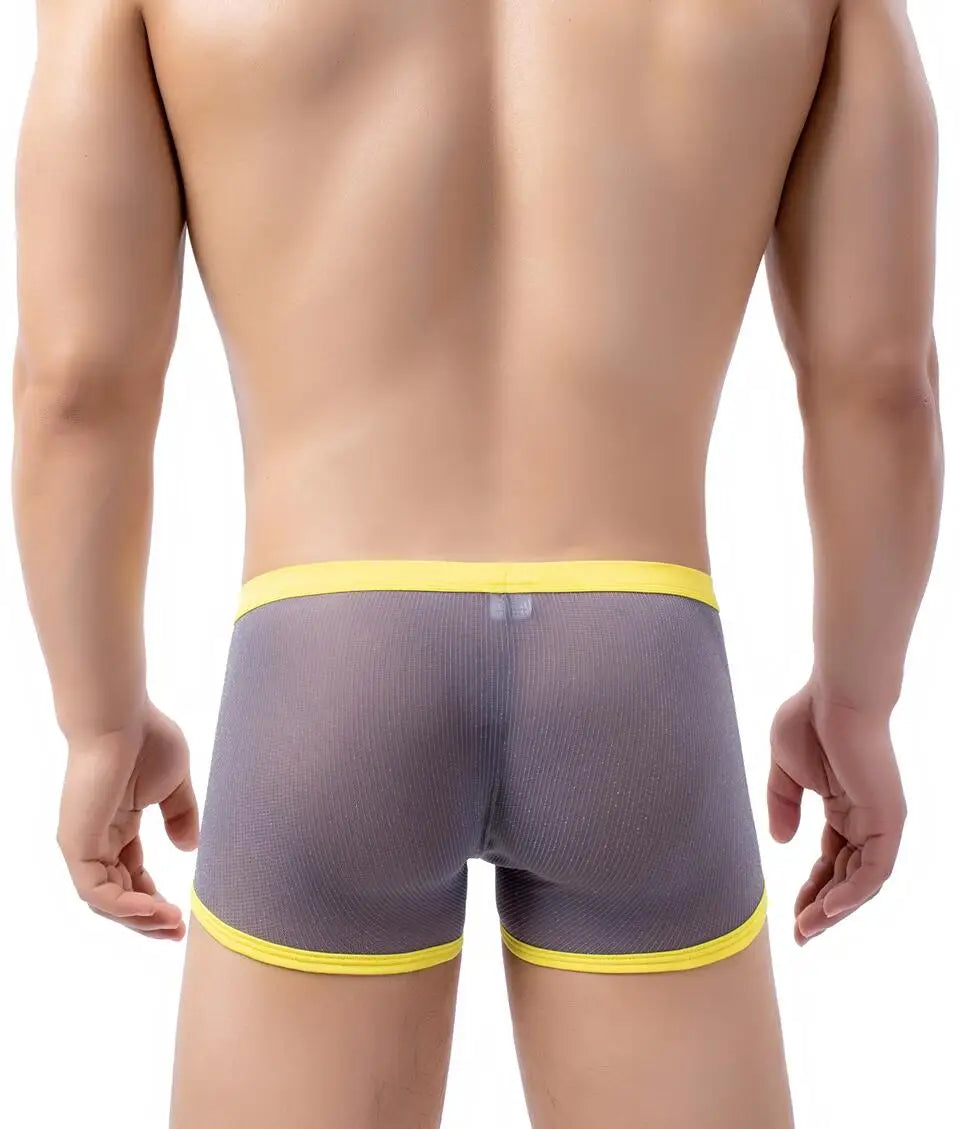 Men's Underwear Boxers Sexy Mesh Transparent Boxer Shorts Low Waist Breathable Panties Boxer for Man