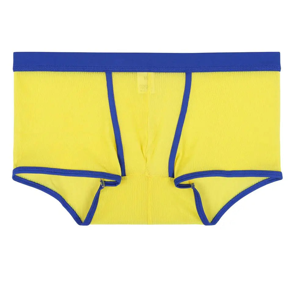 Men's Underwear Boxers Sexy Mesh Transparent Boxer Shorts Low Waist Breathable Panties Boxer for Man