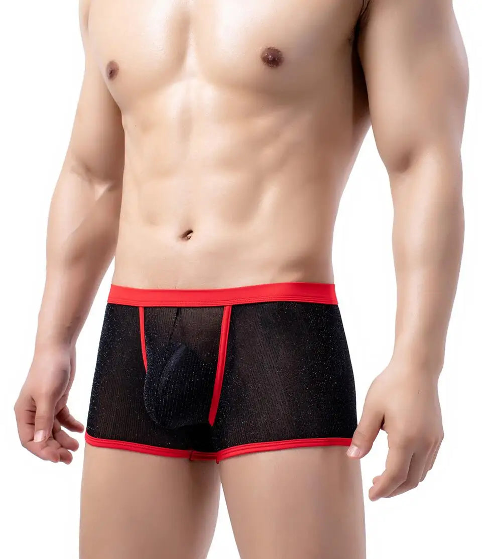 Men's Underwear Boxers Sexy Mesh Transparent Boxer Shorts Low Waist Breathable Panties Boxer for Man