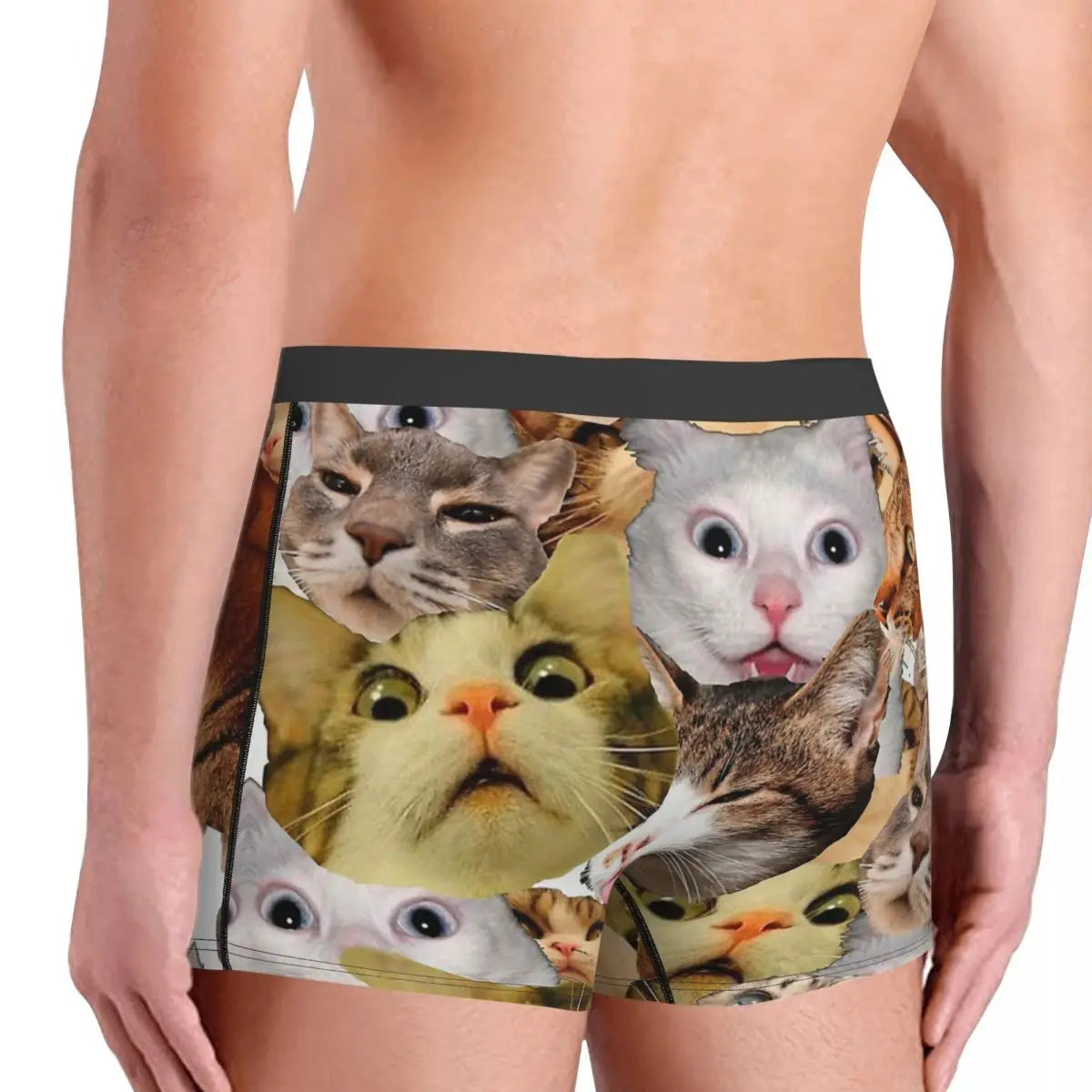 Meme Cat Boxer Shorts for Men