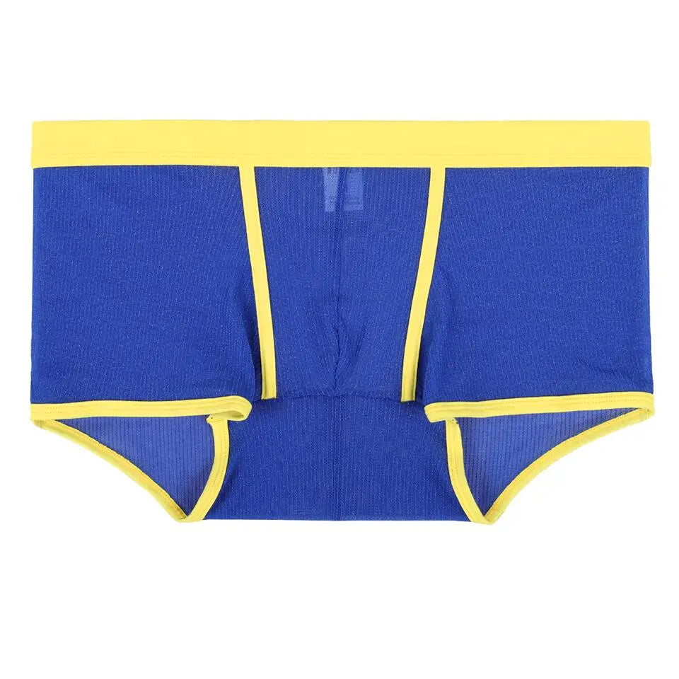 Men's Underwear Boxers Sexy Mesh Transparent Boxer Shorts Low Waist Breathable Panties Boxer for Man