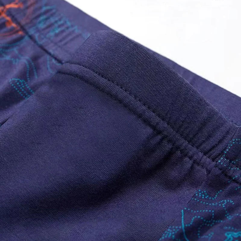 Men's Bamboo Fiber Boxer Shorts Plus Size 2XL-7XL