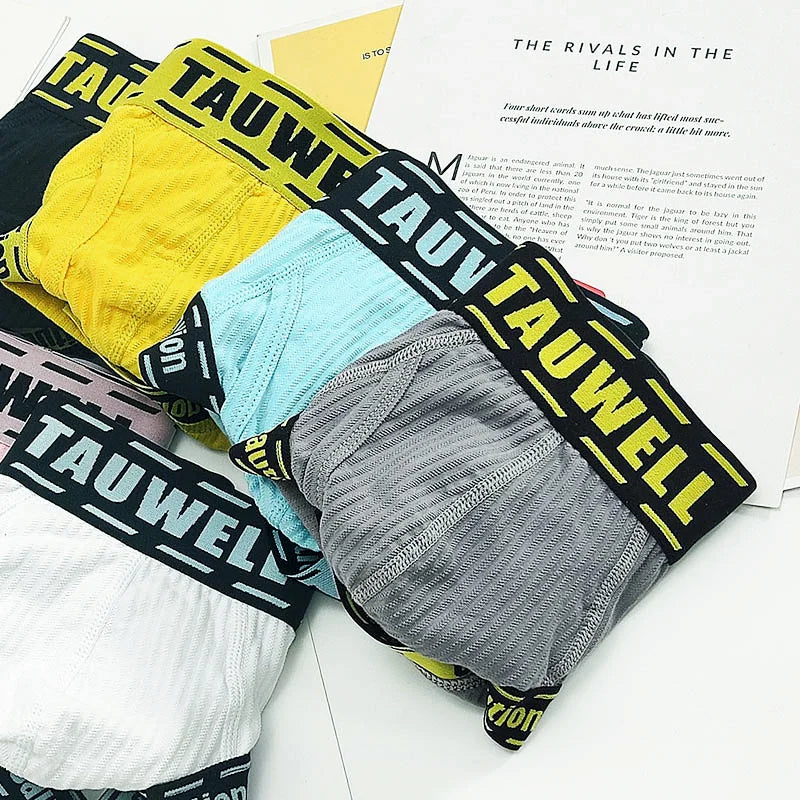 Men's Boxer Shorts Cotton and Elastane Underwear