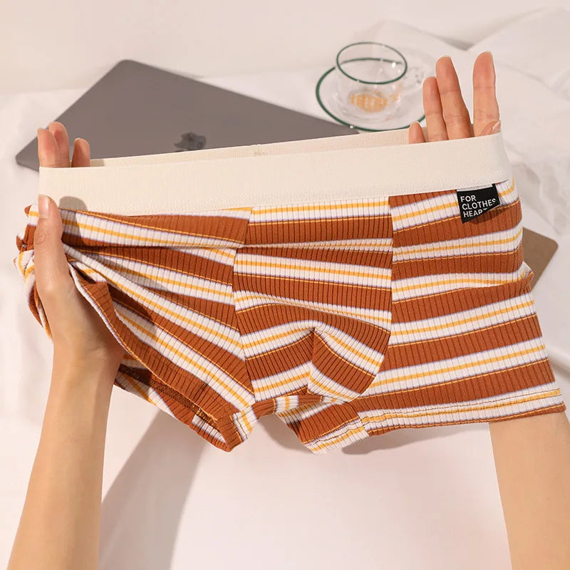 Men's Plus Size Cotton Boxer Briefs with Stripes
