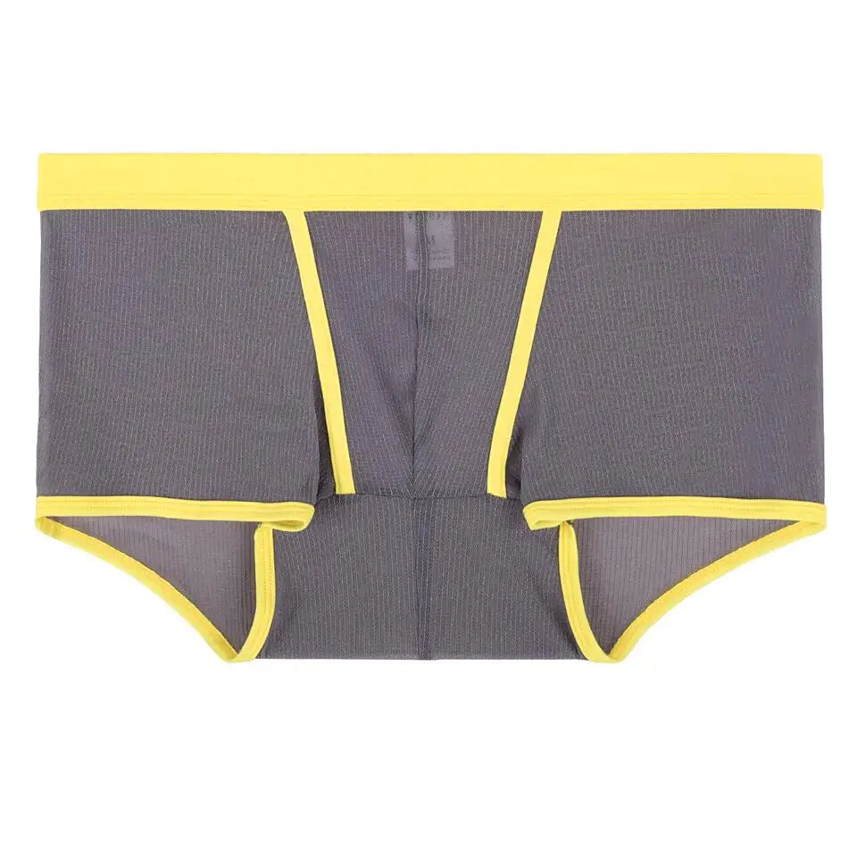 Men's Underwear Boxers Sexy Mesh Transparent Boxer Shorts Low Waist Breathable Panties Boxer for Man
