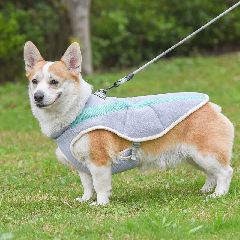 French Bulldog Cooling Vest for Small Medium Dogs Summer