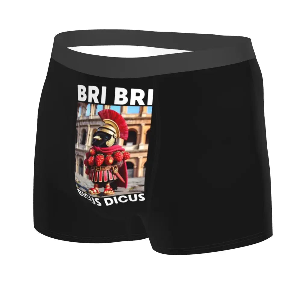 Men's Boxer Shorts Brr Brr Patapim Funny Italian Brainrot