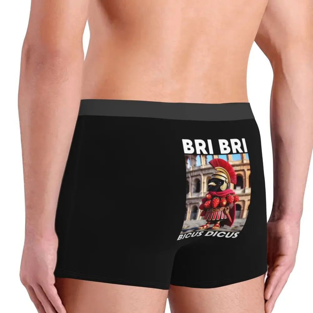 Men's Boxer Shorts Brr Brr Patapim Funny Italian Brainrot