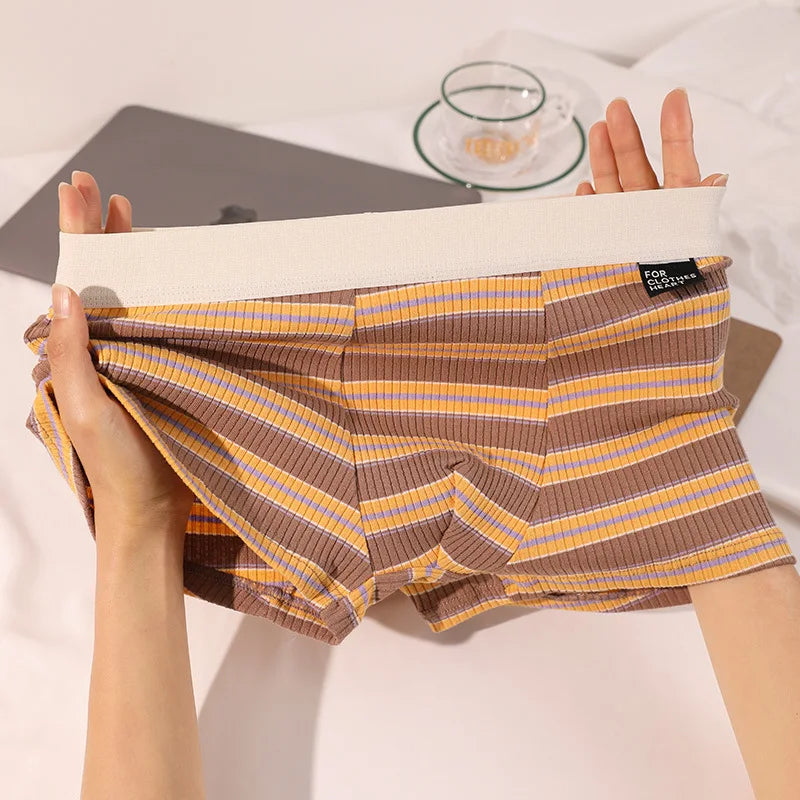 Men's Plus Size Cotton Boxer Briefs with Stripes