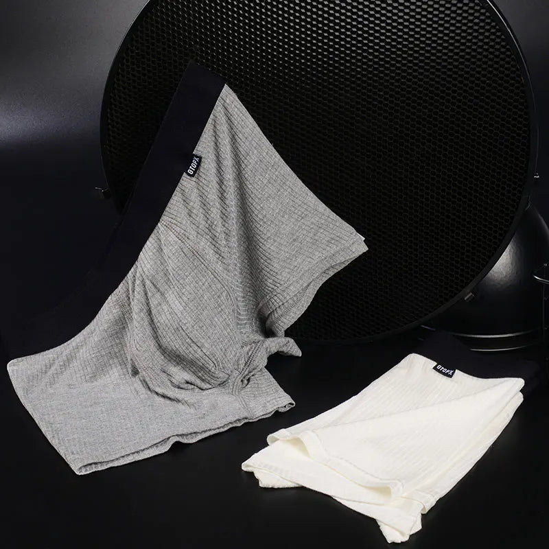 Men's Modal Boxer Shorts by GTOPX MAN