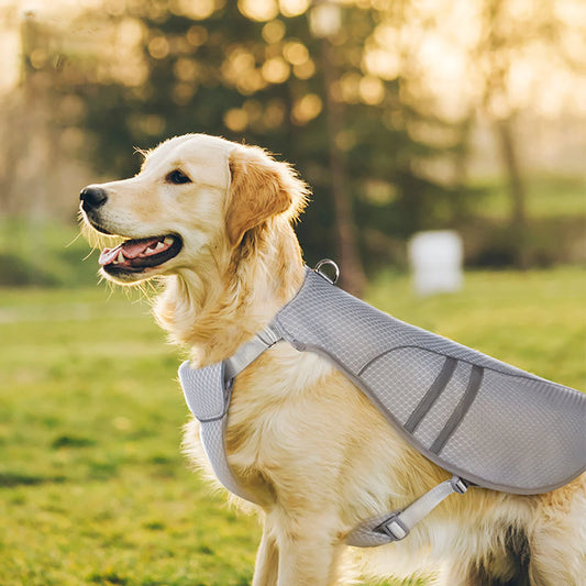 Dog Cooling Vest Lightweight Jacket for All Seasons