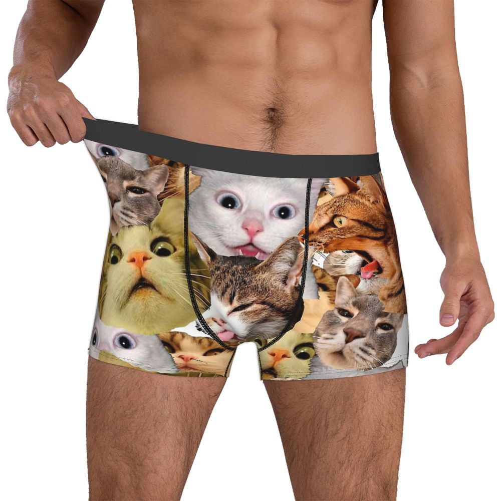 Meme Cat Boxer Shorts for Men
