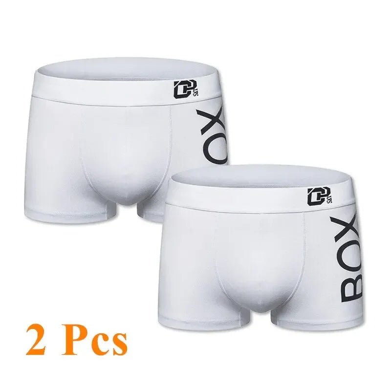 Men's Cotton Boxer Shorts with 3D Pouch
