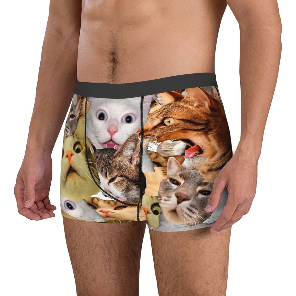 Meme Cat Boxer Shorts for Men