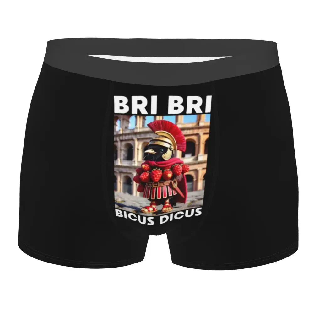 Men's Boxer Shorts Brr Brr Patapim Funny Italian Brainrot