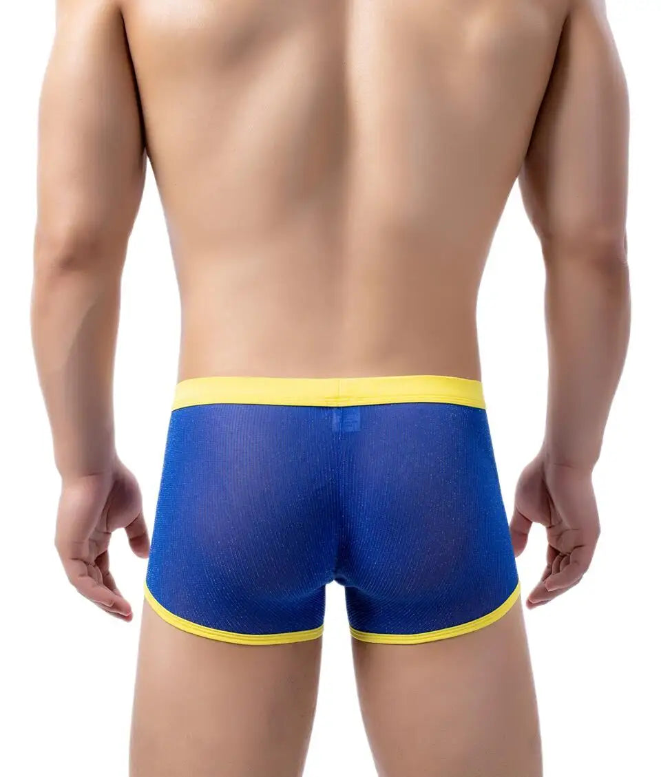 Men's Underwear Boxers Sexy Mesh Transparent Boxer Shorts Low Waist Breathable Panties Boxer for Man
