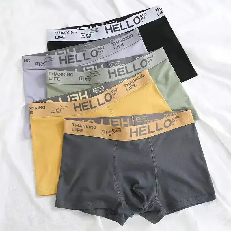 MOONBIFFY Boxers Men's Cotton Underwear L-4XL