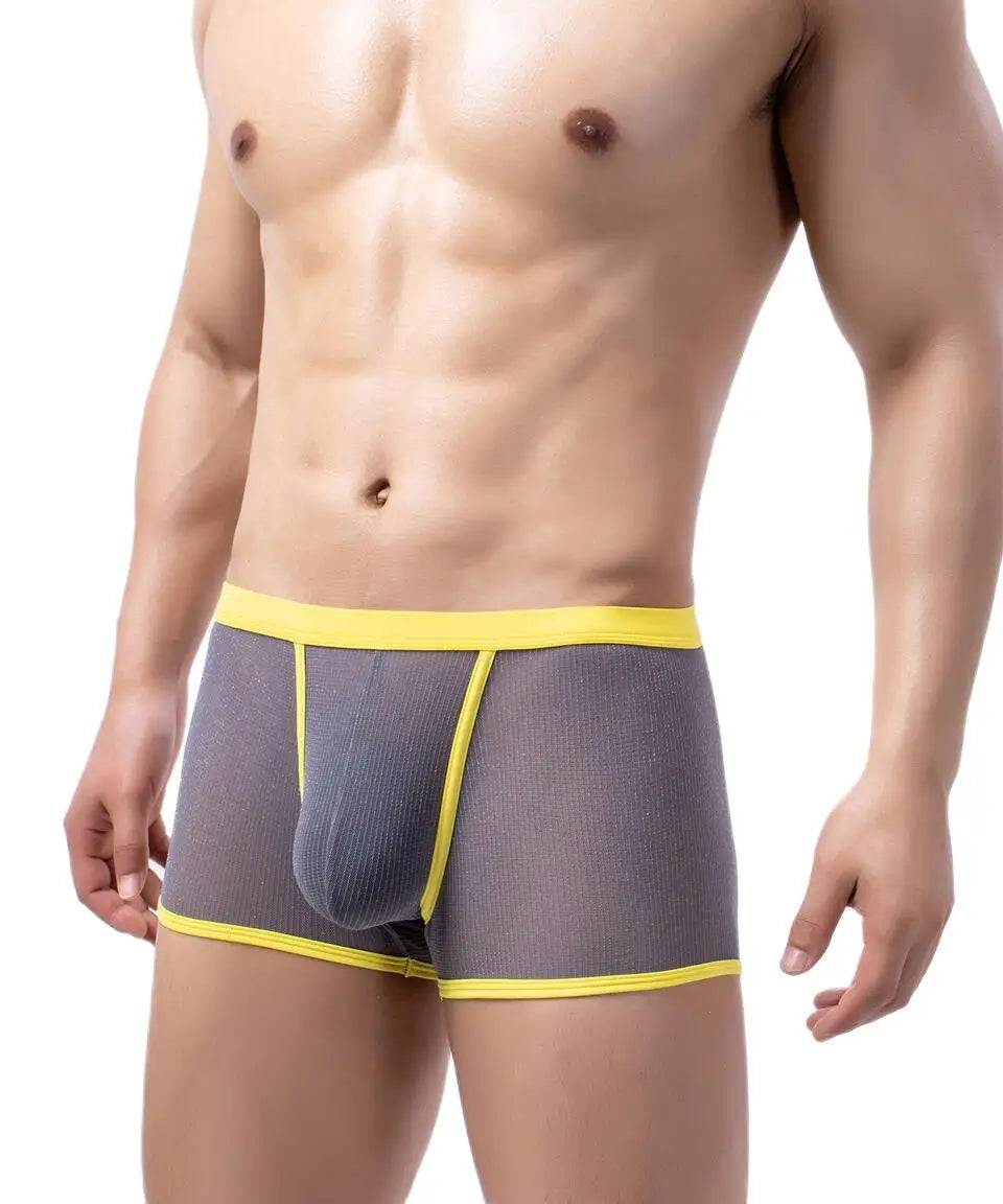 Men's Underwear Boxers Sexy Mesh Transparent Boxer Shorts Low Waist Breathable Panties Boxer for Man
