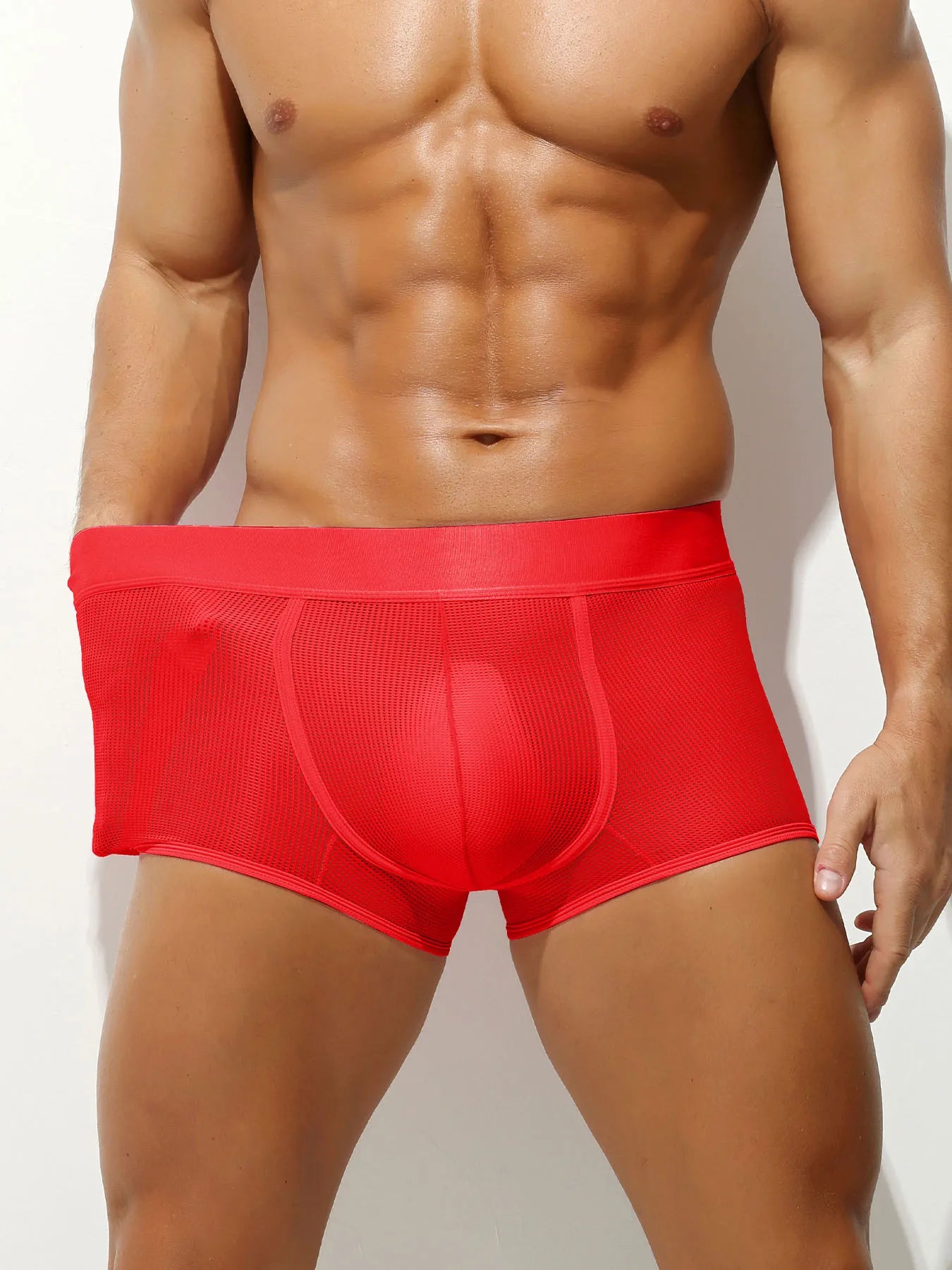 Men's Boxer Trunks Mesh Underwear