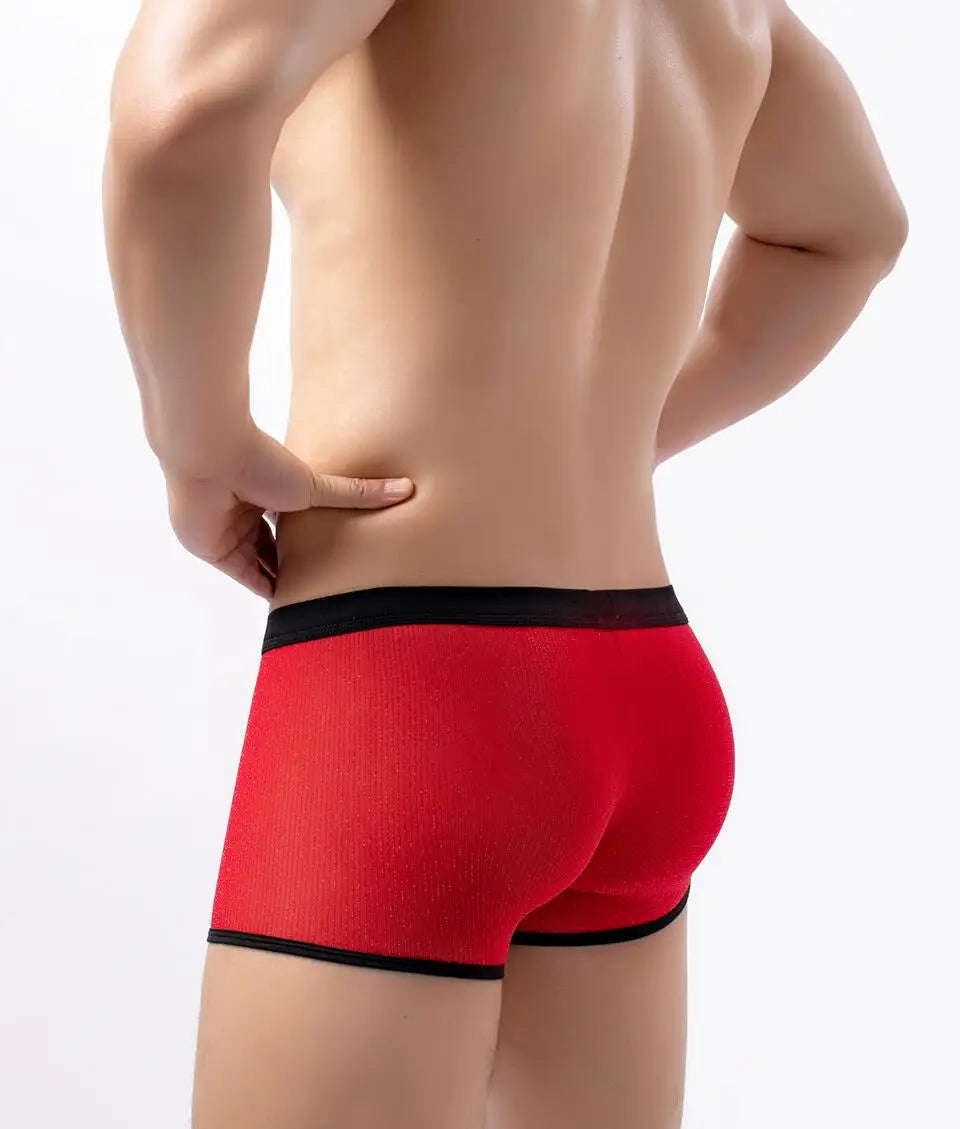 Men's Underwear Boxers Sexy Mesh Transparent Boxer Shorts Low Waist Breathable Panties Boxer for Man
