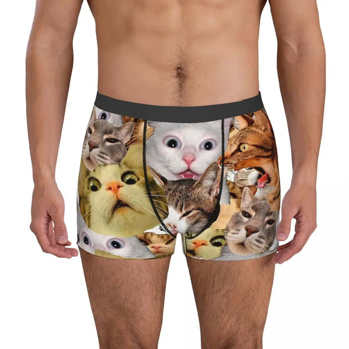 Meme Cat Boxer Shorts for Men