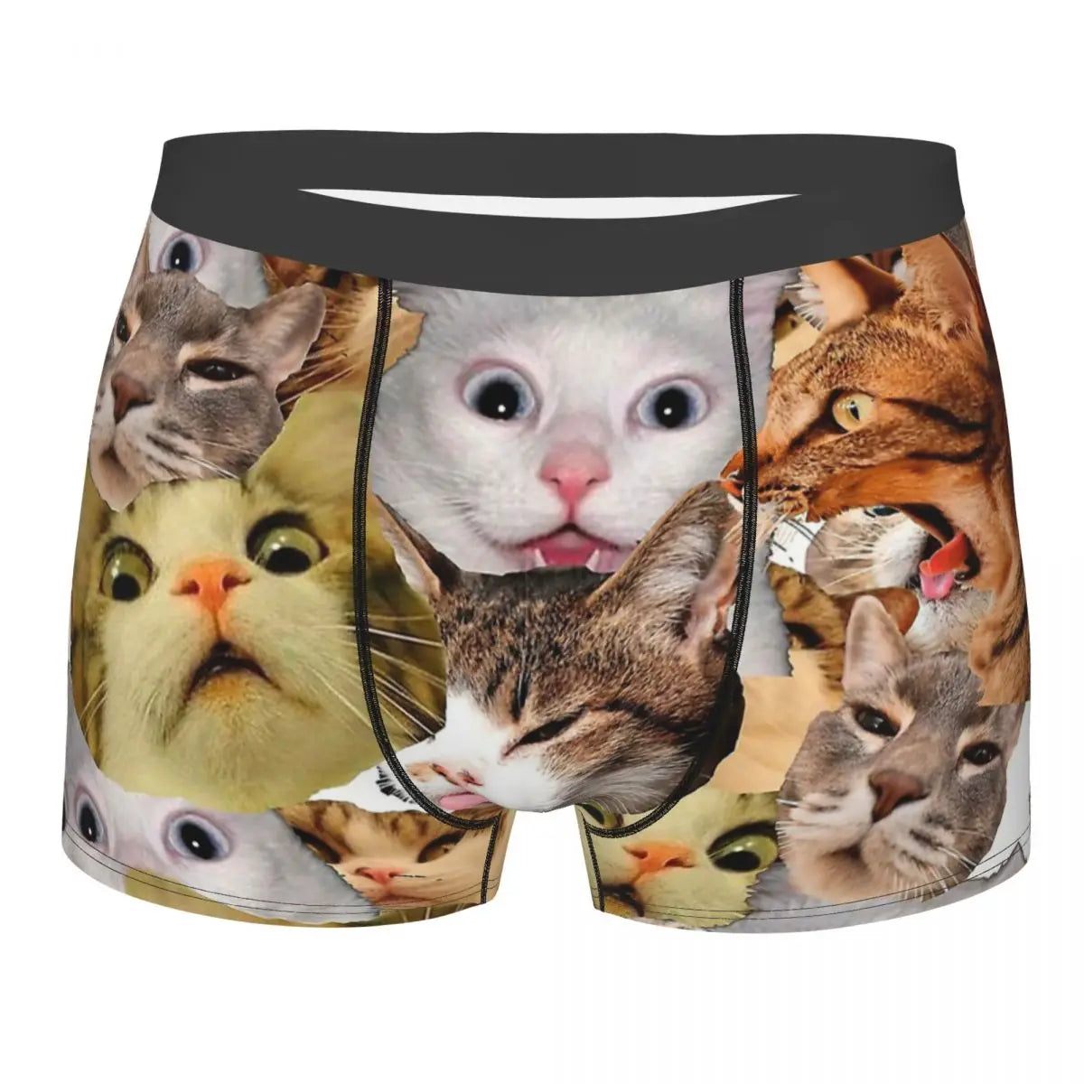 Meme Cat Boxer Shorts for Men