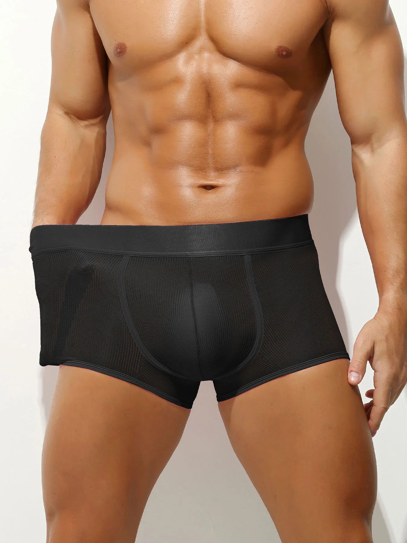 Men's Boxer Trunks Mesh Underwear