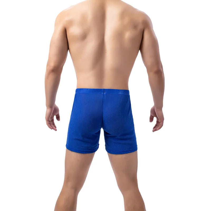 Men's Mesh Boxer Shorts Breathable Nylon Underwear