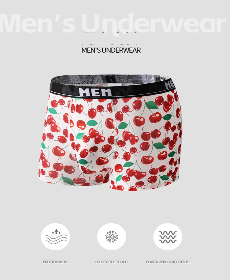 Men's Boxer Shorts 4Pcs Polyester Printed Underwear