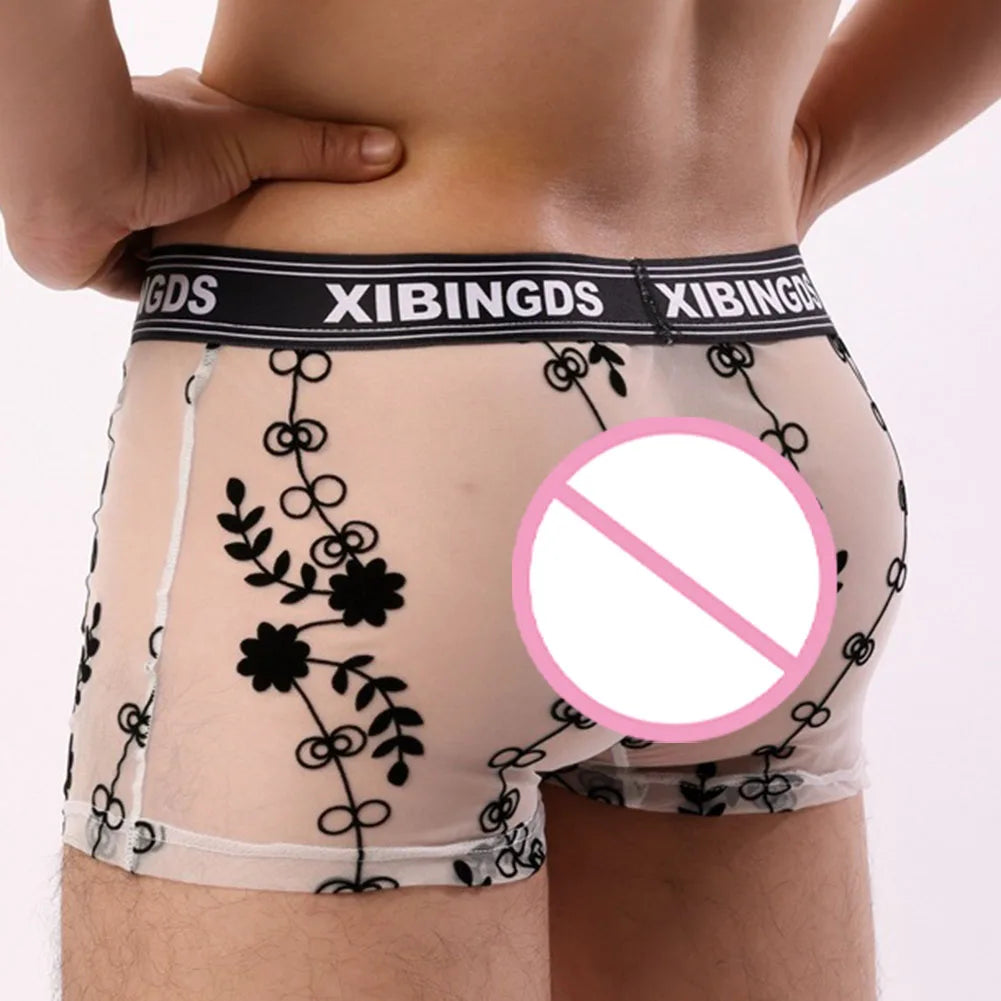 See Through Mesh Boxer Briefs for Men
